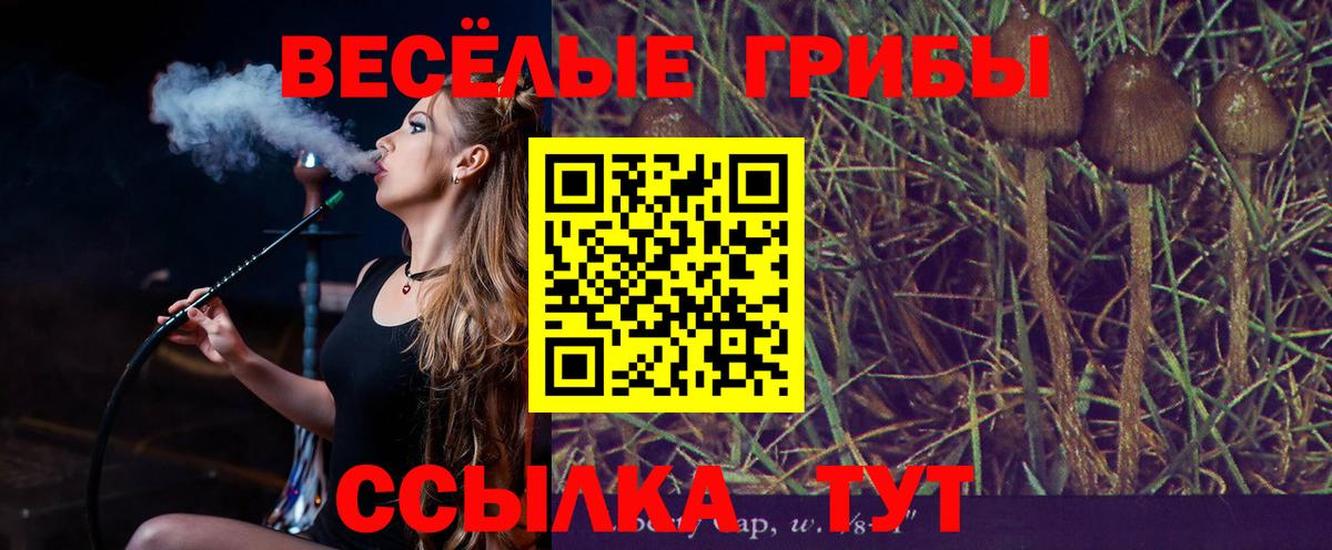 Галлюциногенные грибы Cubensis Реж